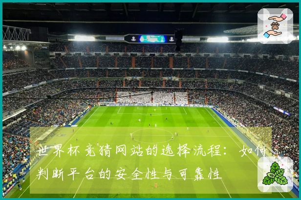 世界杯竞猜网站的选择流程：如何判断平台的安全性与可靠性