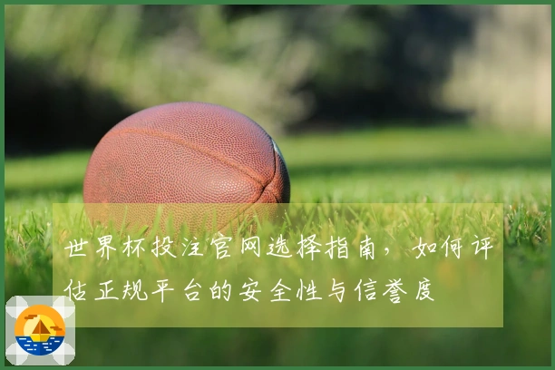 世界杯投注官网选择指南，如何评估正规平台的安全性与信誉度